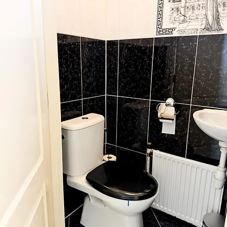 Business In Dordrecht For Expats * Dordrecht