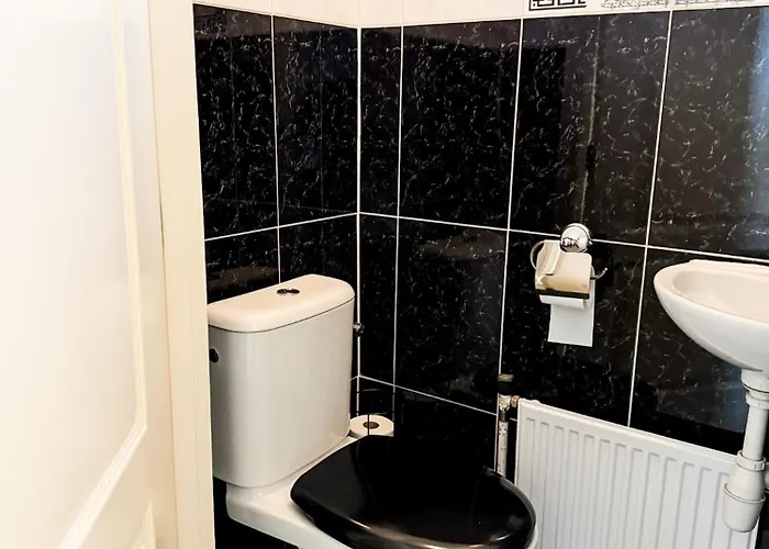 Business In Dordrecht For Expats * Dordrecht