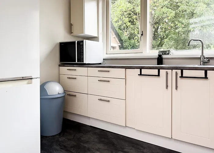 Business In Dordrecht For Expats